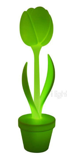 Myyour Indoor-Tulpe hellgrün TULIP-XL-GREEN